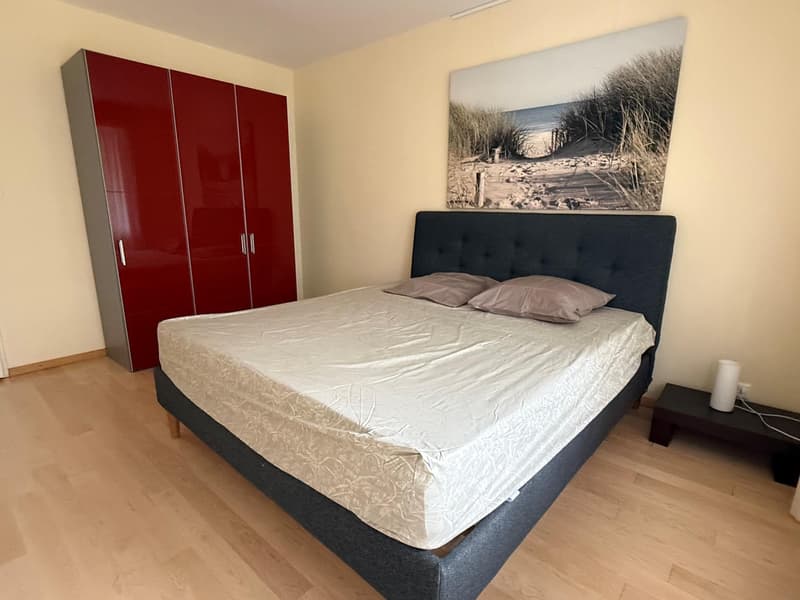 BEL APPARTEMENT MEUBLE 4.5 PIECES CHAMPEL AU CALME (12)