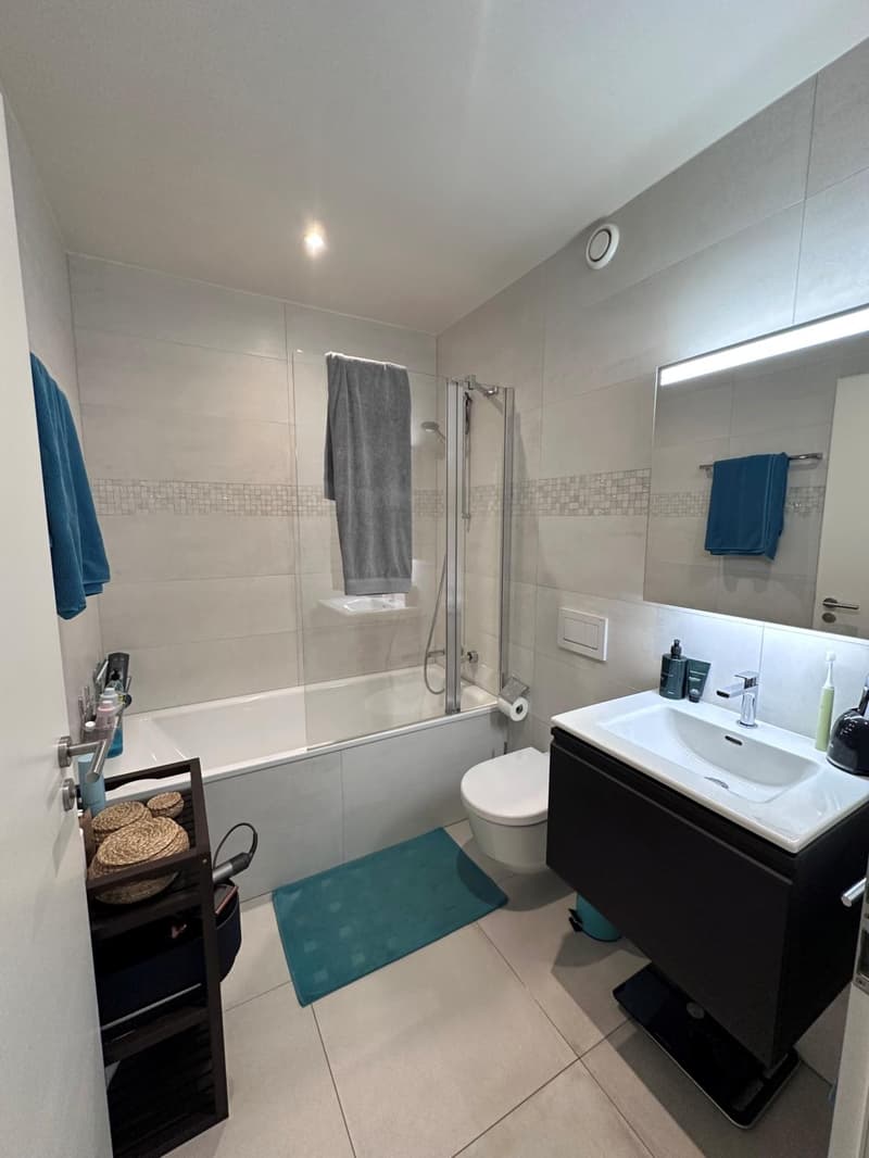 Appartement 4 pièces avec grand balcon plein sud au calme (8)