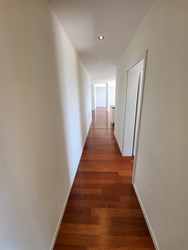 SPLENDIDE APPARTEMENT EN REZ DE JARDIN AVEC VUE LAC ET MONTAGNES A LUTRY (9)