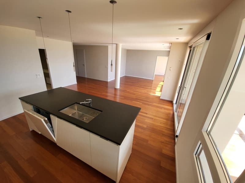 SPLENDIDE APPARTEMENT EN REZ DE JARDIN AVEC VUE LAC ET MONTAGNES A LUTRY (5)