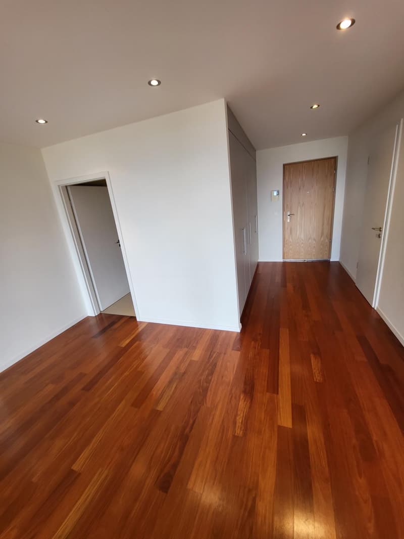 SPLENDIDE APPARTEMENT EN REZ DE JARDIN AVEC VUE LAC ET MONTAGNES A LUTRY (12)
