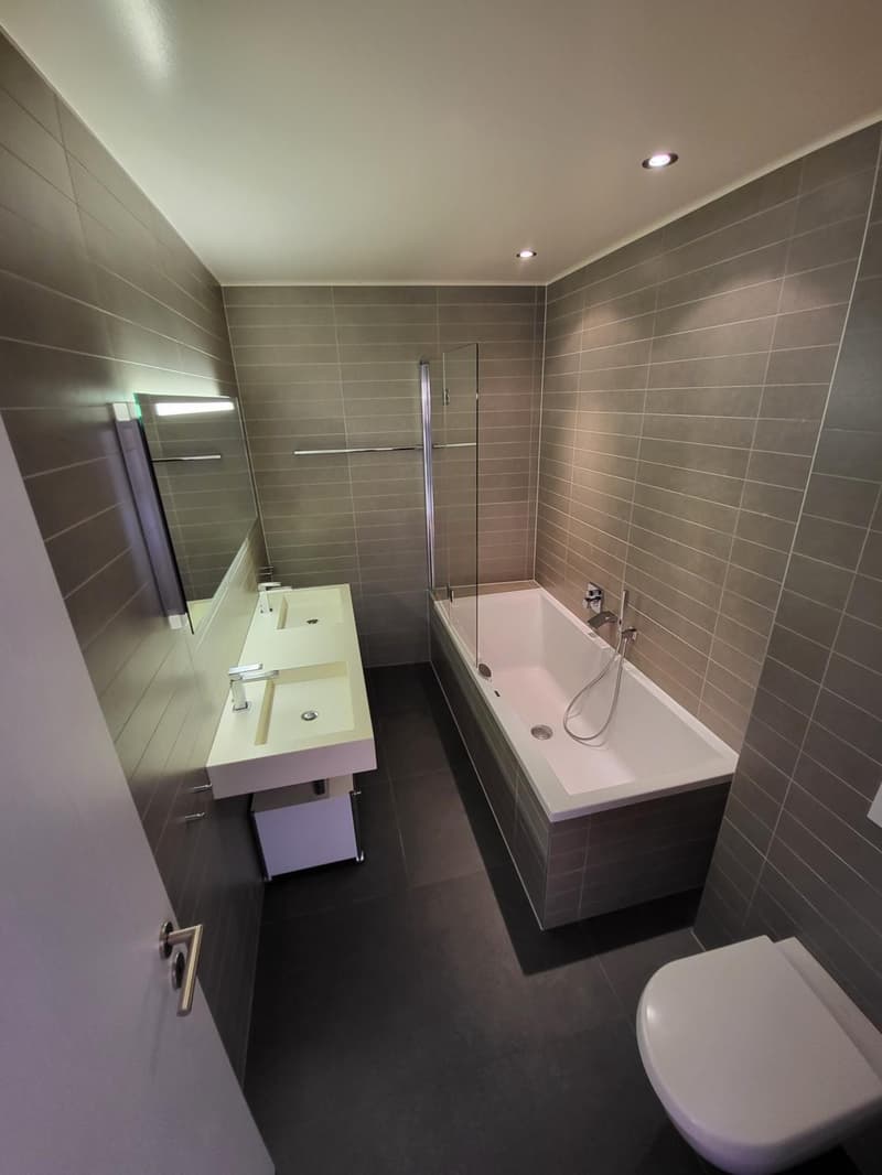 SPLENDIDE APPARTEMENT EN REZ DE JARDIN AVEC VUE LAC ET MONTAGNES A LUTRY (13)