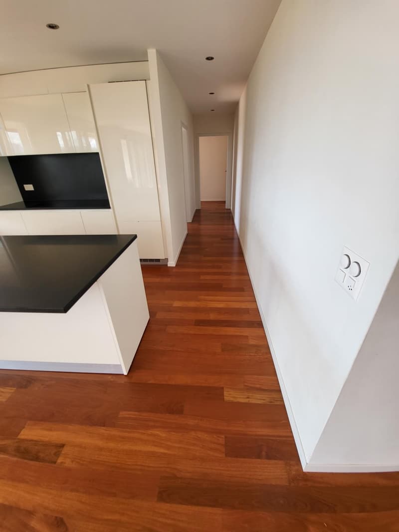 SPLENDIDE APPARTEMENT EN REZ DE JARDIN AVEC VUE LAC ET MONTAGNES A LUTRY (8)