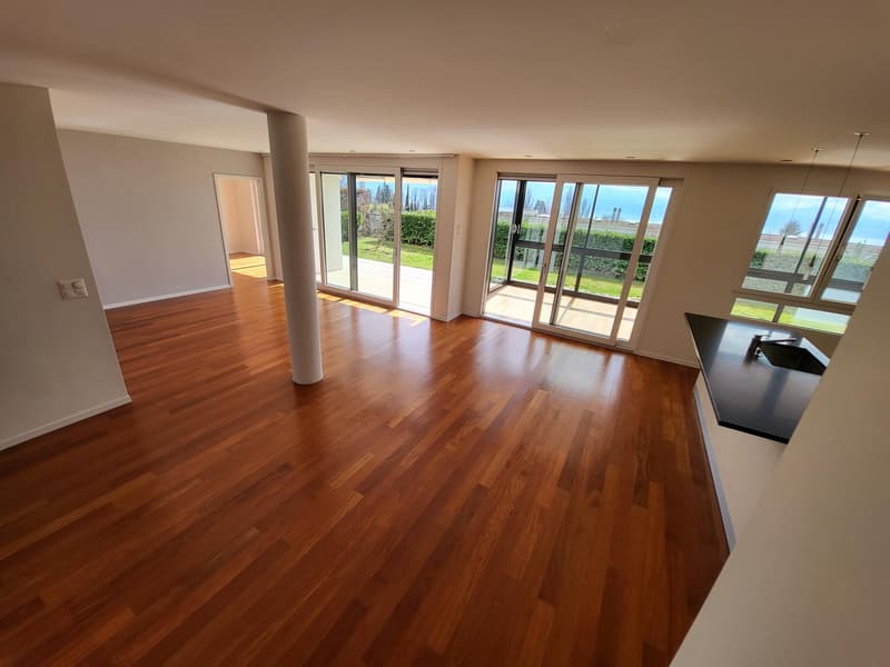 SPLENDIDE APPARTEMENT EN REZ DE JARDIN AVEC VUE LAC ET MONTAGNES A LUTRY (7)