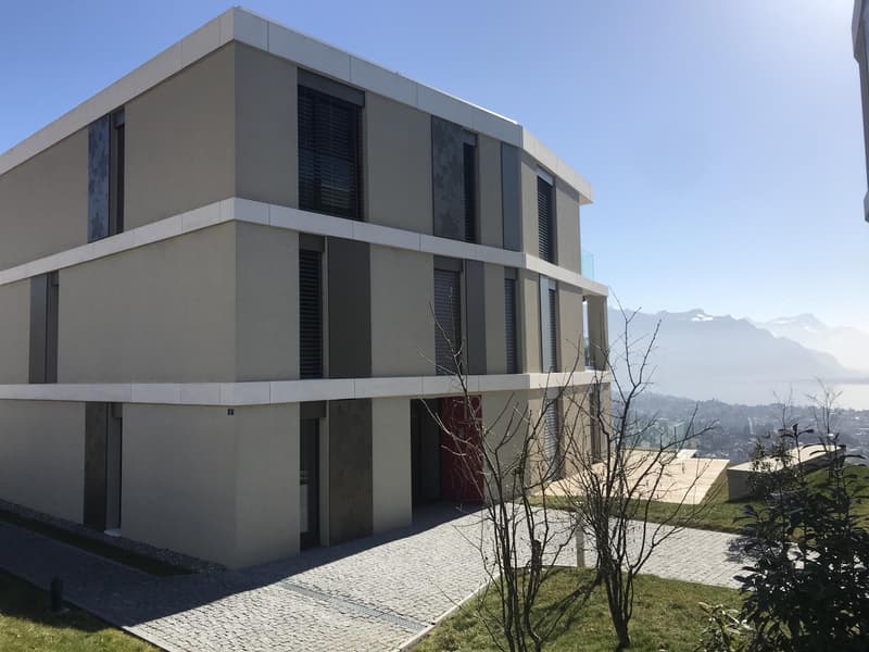 Très beau 4.5 pièces contemporain idéalement situé dans le Lavaux (2)