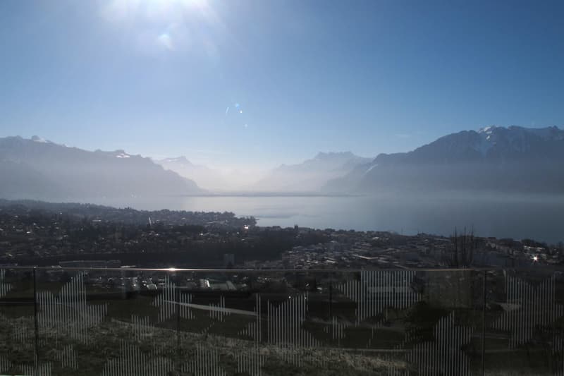 Très beau 4.5 pièces contemporain idéalement situé dans le Lavaux (4)