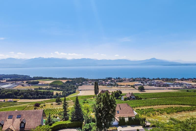 Magnifique villa individuelle non meublée ou meublée (à choix) avec splendide vue sur le lac à Féchy (5)