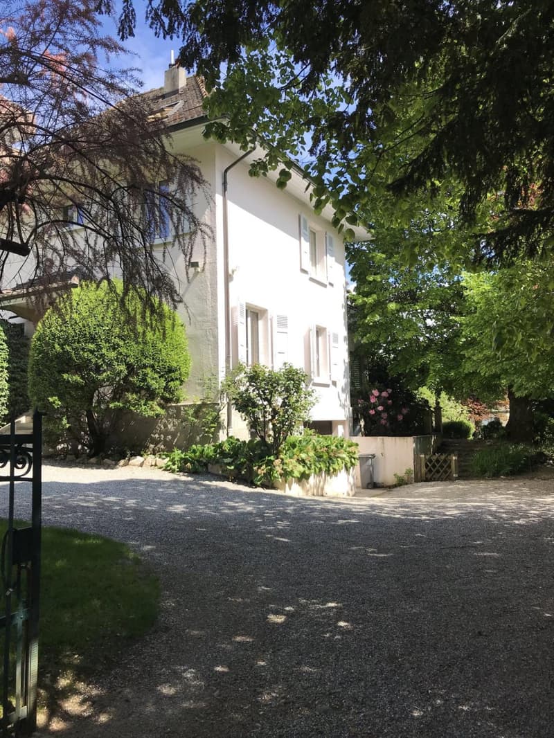 TRES BELLE PROPRIETE 9 PIECES AU PETIT SACONNEX AVEC GRAND JARDIN ET AU CALME (13)