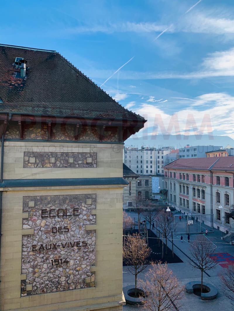 Appartement avec bail en cours 2chambres aux eaux vives | homegate.ch