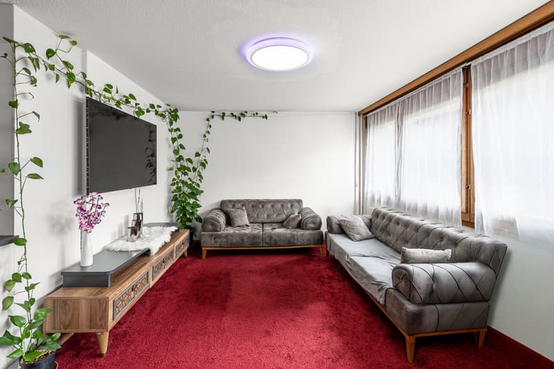 Appartement lumineux avec jardin privatif au centre de Aigle (4)
