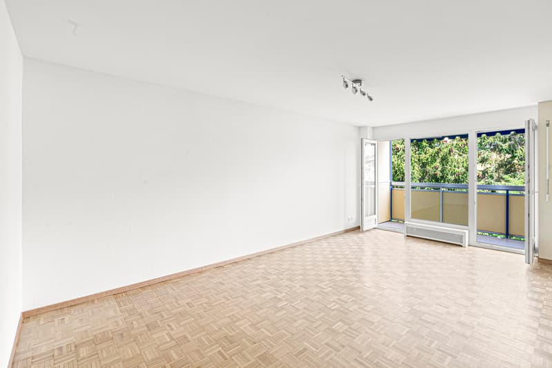 Studio rénové  Balcon ensoleillé  Vue dégagée (9)