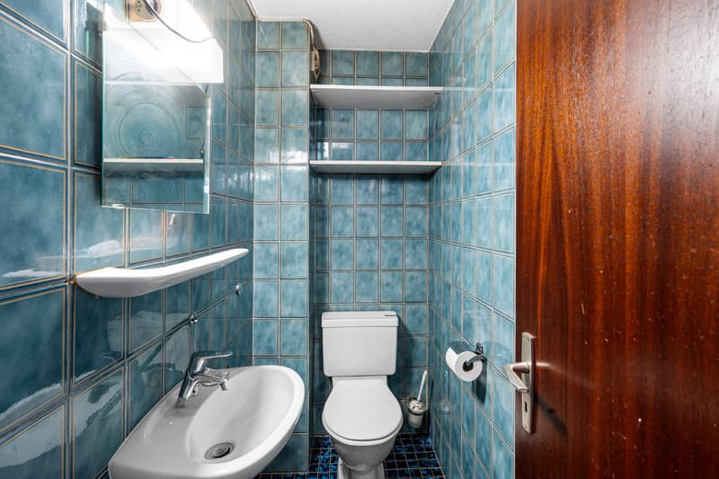 Appartement lumineux avec jardin privatif au centre de Aigle (10)