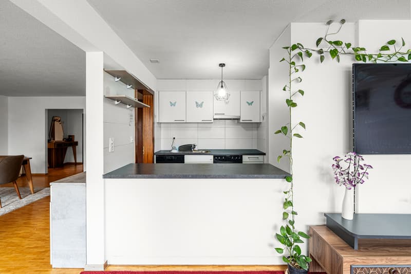 Appartement lumineux avec jardin privatif au centre de Aigle (5)
