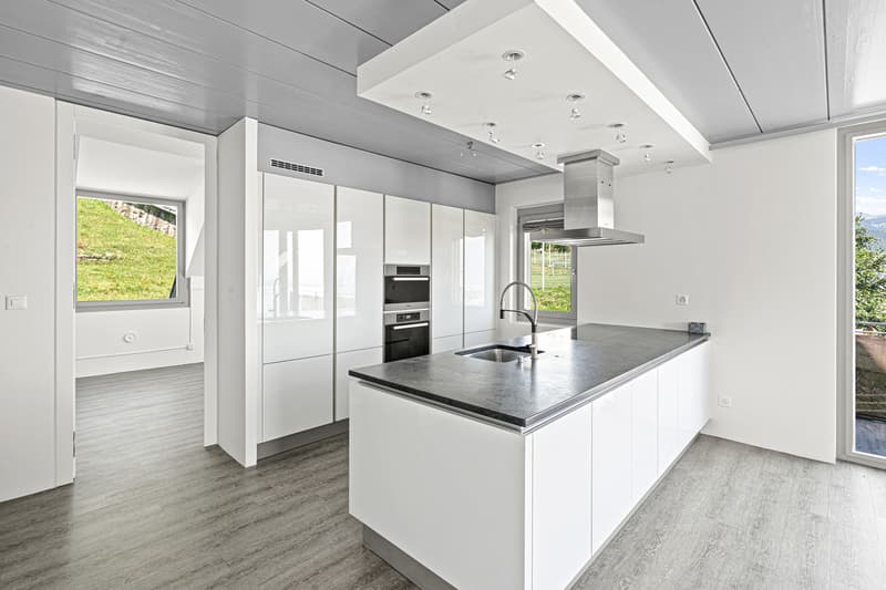 Appartement de prestige rénové avec vue spectaculaire sur le lac ! (2)