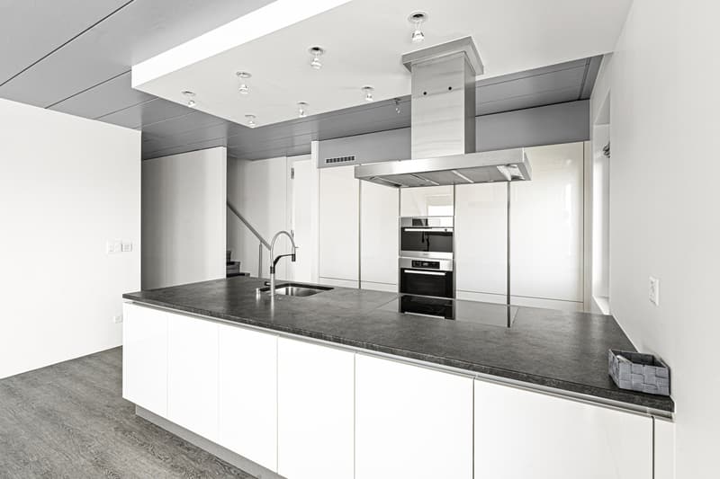 Appartement de prestige rénové avec vue spectaculaire sur le lac ! (4)