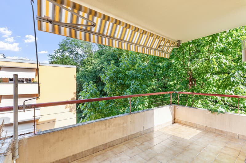 Superbe appartement rénové avec cheminée (5)