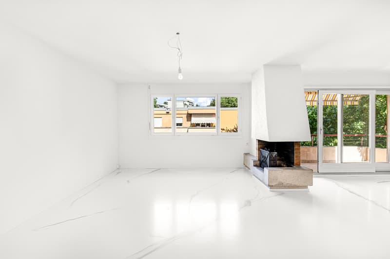 Superbe appartement rénové avec cheminée (4)