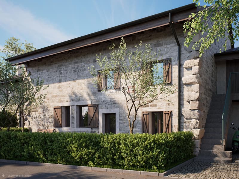 Hameau du Petit-Veyrier - Maison de village rénovée (4)