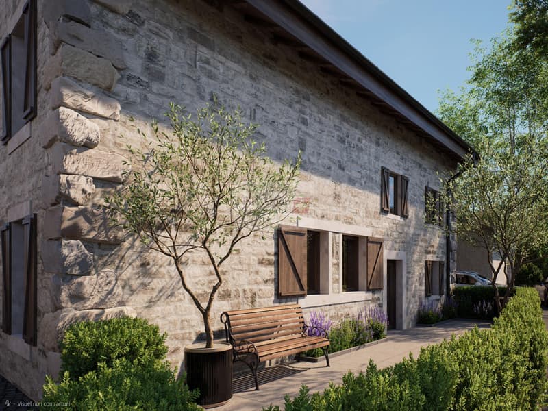 Hameau du Petit-Veyrier - Maison de village rénovée (2)