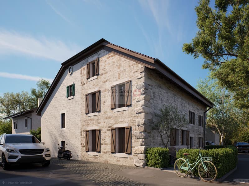 Hameau du Petit-Veyrier - Maison de village rénovée (6)