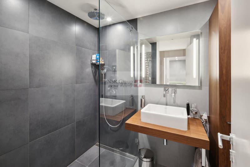 Appartement de prestige en triplex avec Terrasse et parc - Meublé (4)