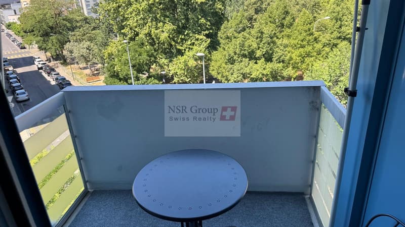 Élégant 5 pièces rénové dans le quartier prisé de Carouge (4)