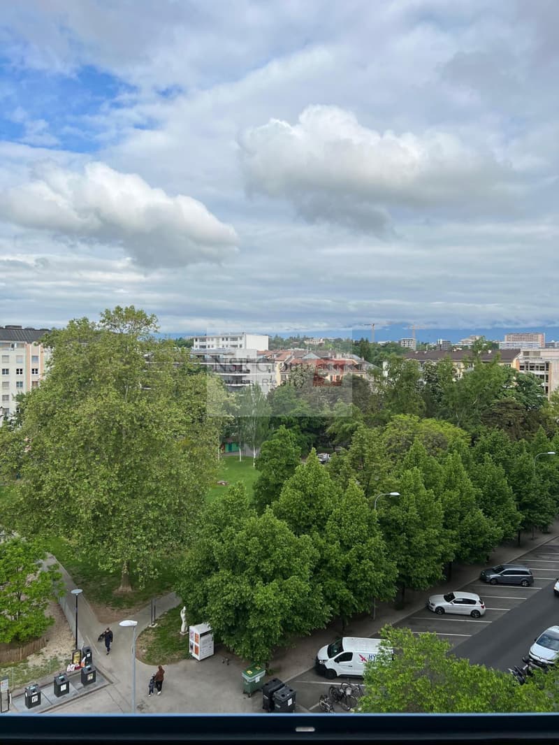 Élégant 5 pièces rénové dans le quartier prisé de Carouge (1)