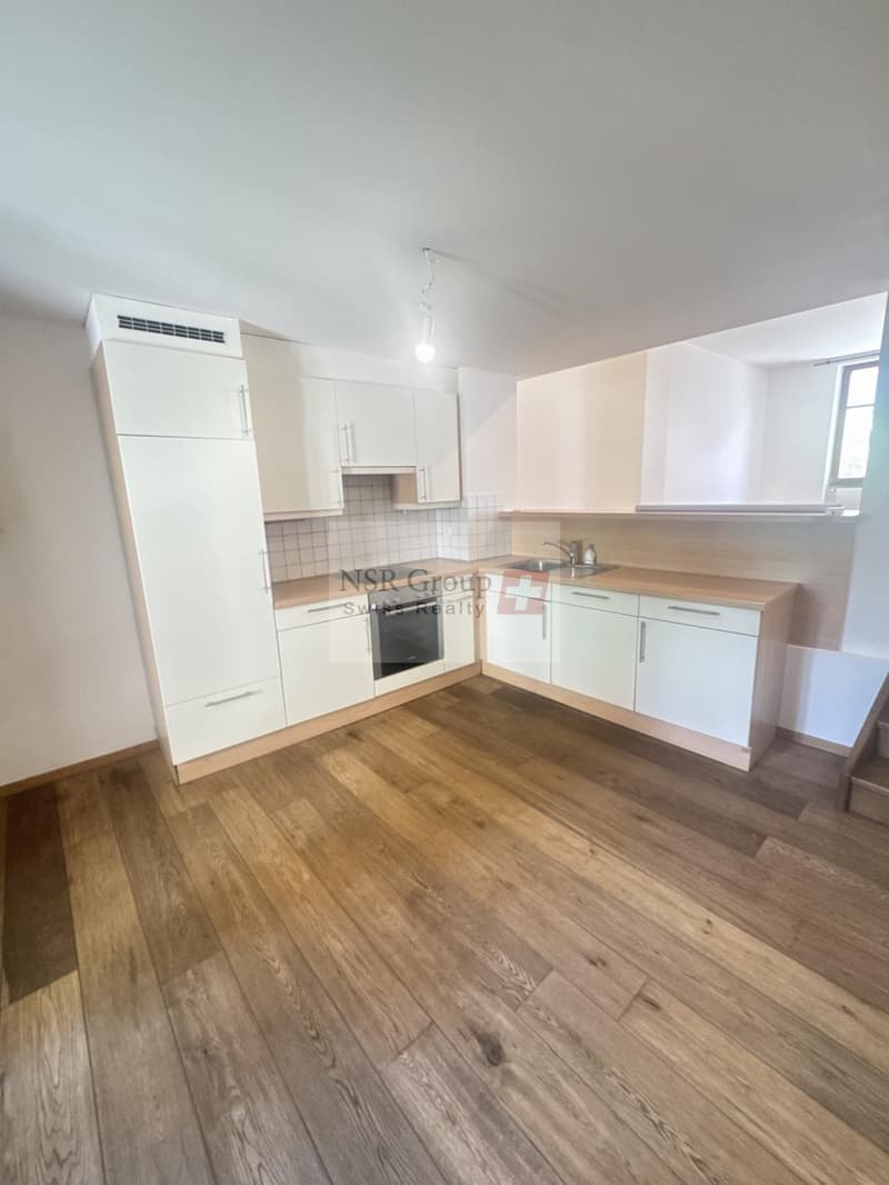 À louer ? Superbe appartement de 4 pièces au coeur du Vieux-Carouge (4)