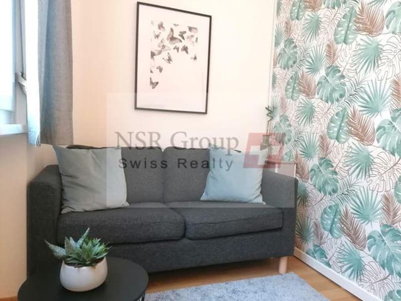 À louer ? Appartement meublé de 2 pièces (3)