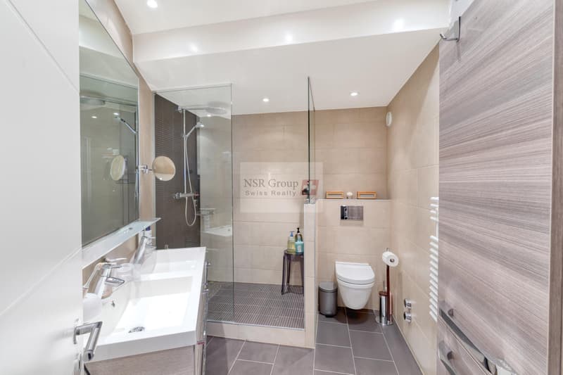 Magnifique appartement en attique en duplex à Malagnou (7)