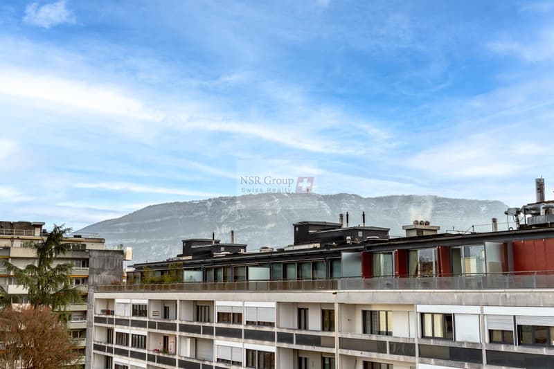 Magnifique appartement en attique en duplex à Malagnou (4)