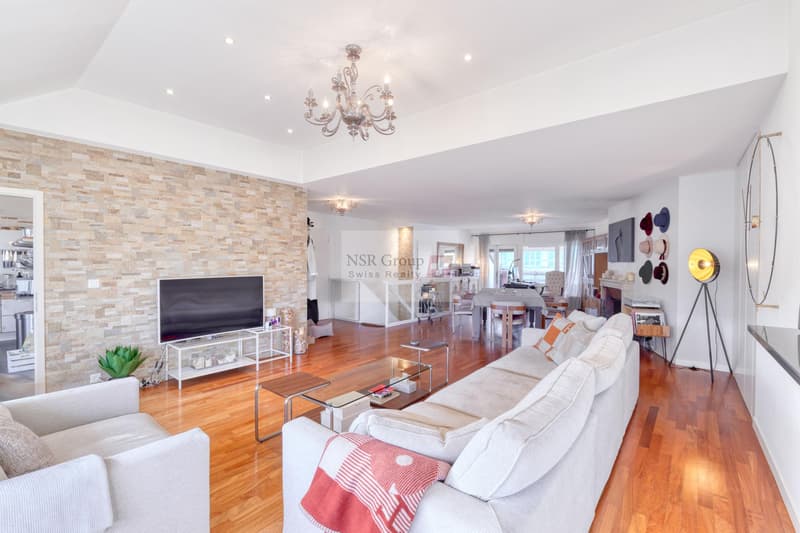 Magnifique appartement en attique en duplex à Malagnou (1)
