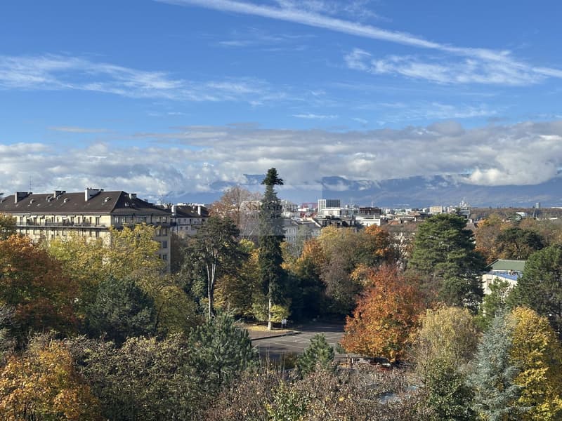 Malagnou - Attique rénové avec terrasse et vue lac (7)