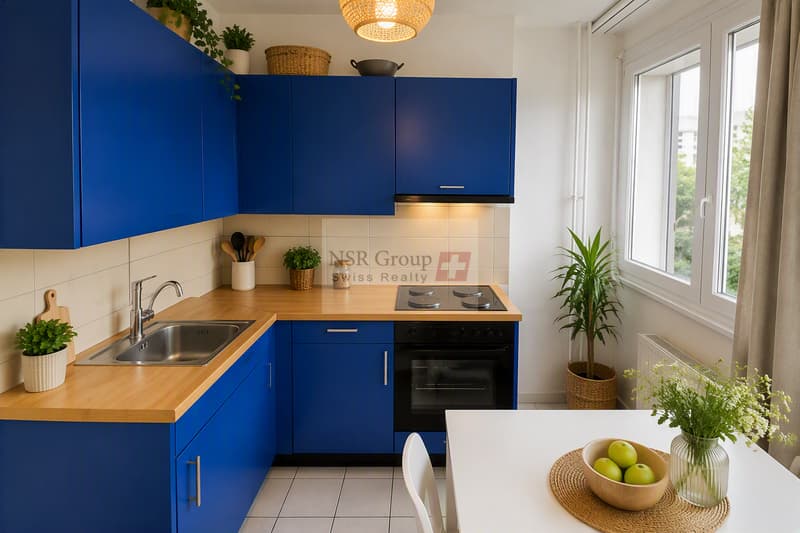 À LOUER ? APPARTEMENT 2 PIÈCES À GENÈVE (2)