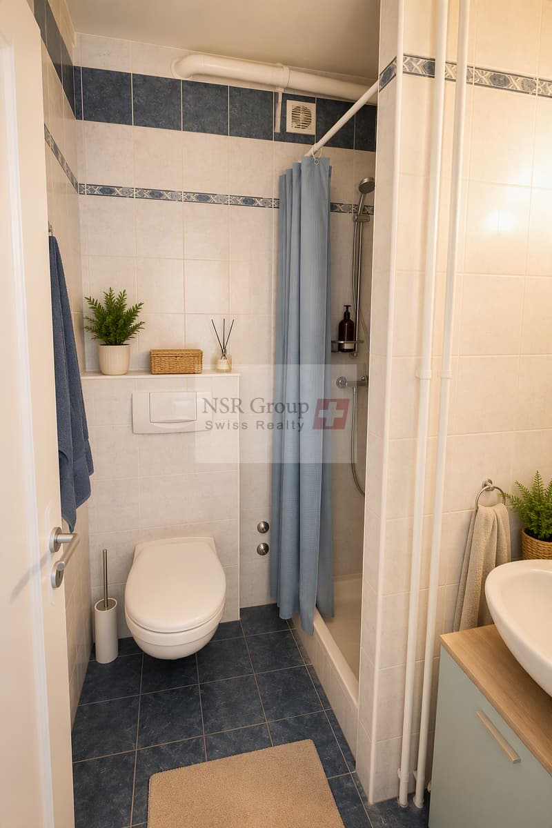 À LOUER ? APPARTEMENT 2 PIÈCES À GENÈVE (5)