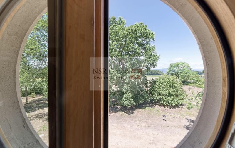 Belle maison de maître à louer ? 10 pièces au coeur de Presinge (3)