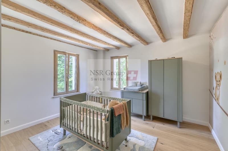 Belle maison de maître à louer ? 10 pièces au coeur de Presinge (10)