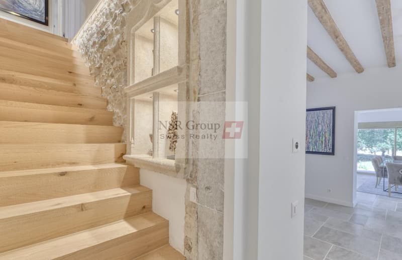 Belle maison de maître à louer ? 10 pièces au coeur de Presinge (4)