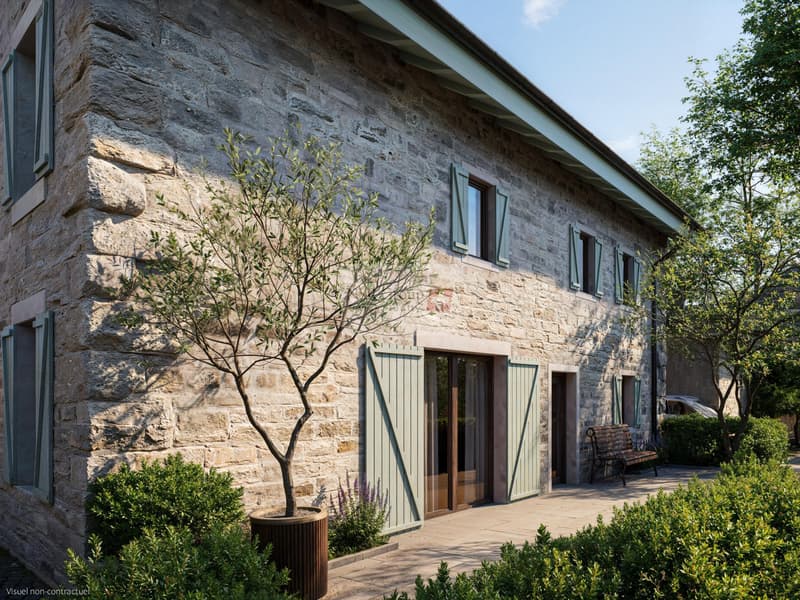 Petit-Veyrier (hameau) - Maison de village rénovée (4)