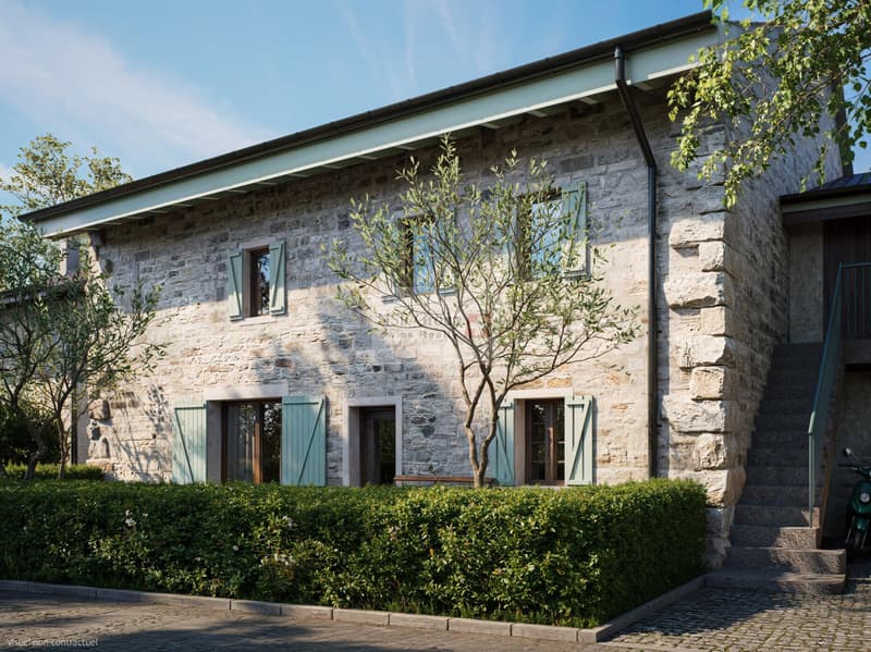Petit-Veyrier (hameau) - Maison de village rénovée (3)