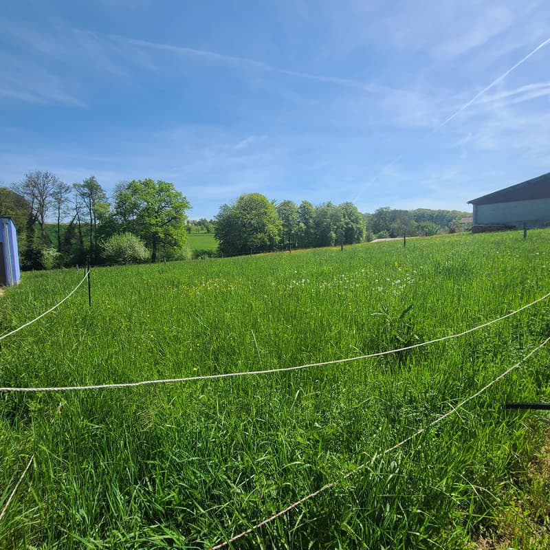 Terrain à bâtir viabilisé | homegate.ch