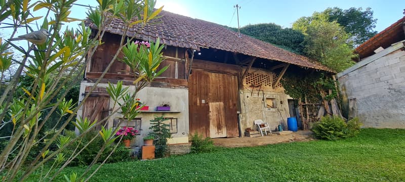 Maison alsacienne (3)