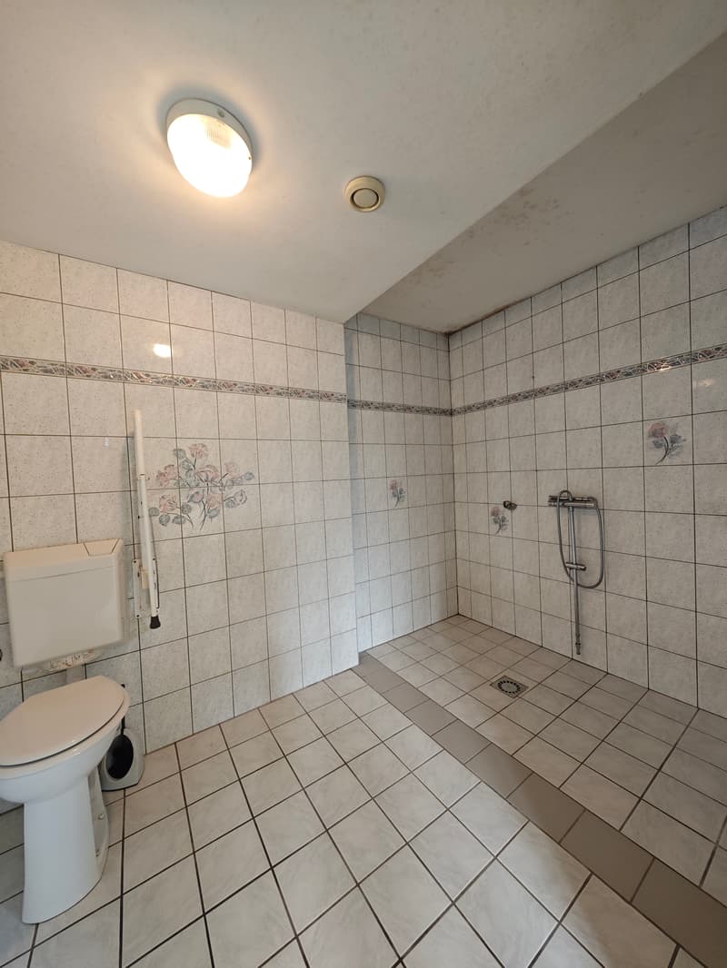 Spacieuse maison familiale de 162 m² sur 12,23 ares de terrain (9)