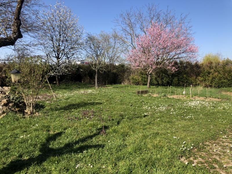 Studio 27m² en rez-de-chaussée (7)