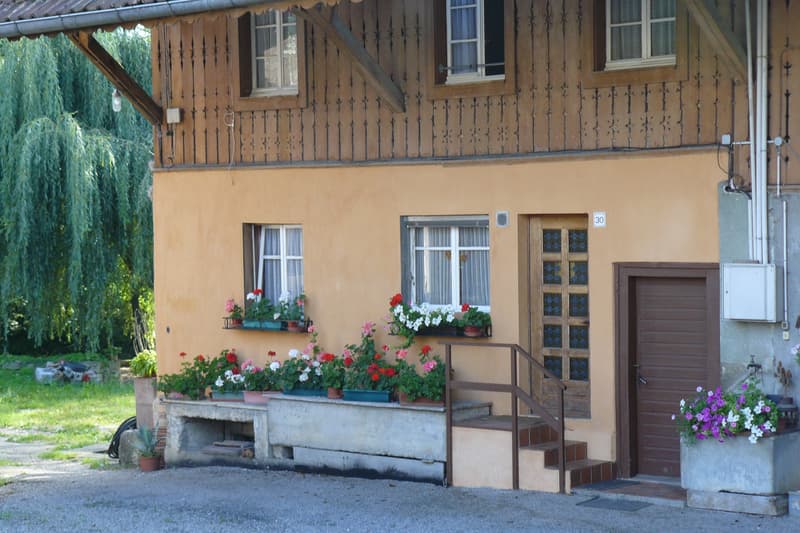 Oltingue au bord de l'Ill (1)