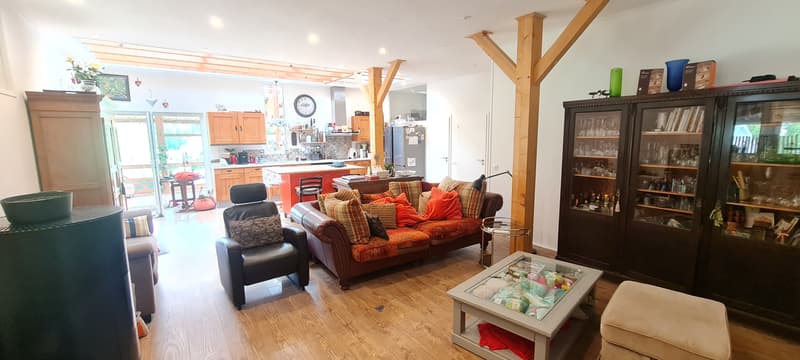 Rare dans le Sundgau (20min de Bâle) Propriété 263m² de charme sur 3,4 hectares avec 3 logements (2)