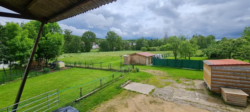 Rare dans le Sundgau (20min de Bâle) Propriété 263m² de charme sur 3,4 hectares avec 3 logements (1)