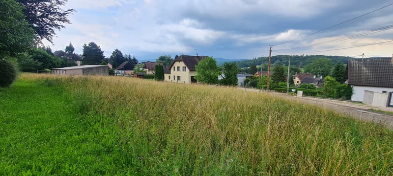Terrain à Bâtir à Roppentzwiller (1)