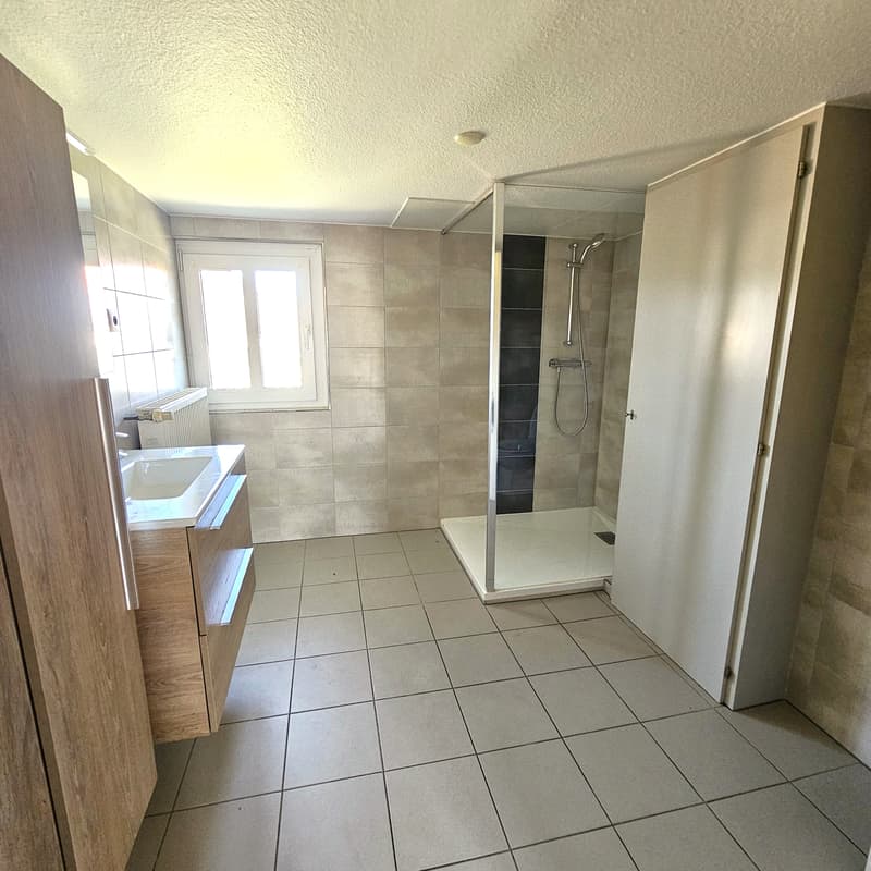 Maison alsacienne de 217m² (4)