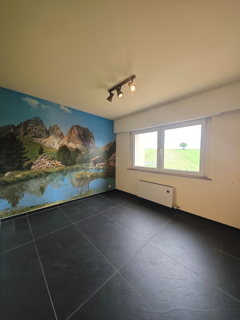 Maison mitoyenne à fort potentiel avec terrasse, jardin et garage (11)